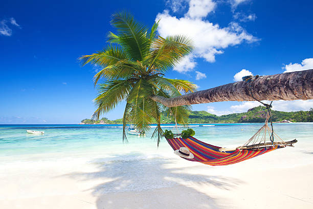 Travel Adventures Travel Agency