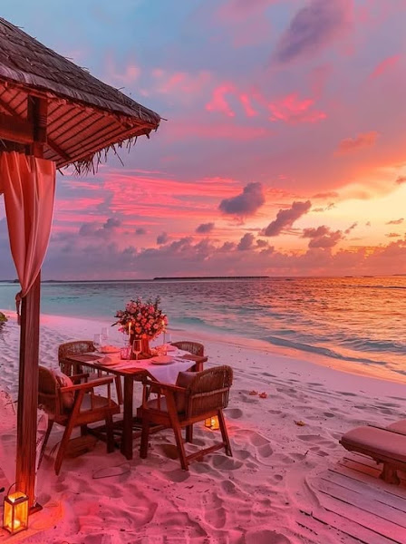 Travel Adventures Travel Agency 4