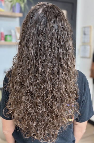Modern Hue Salon by Lesley Calderon