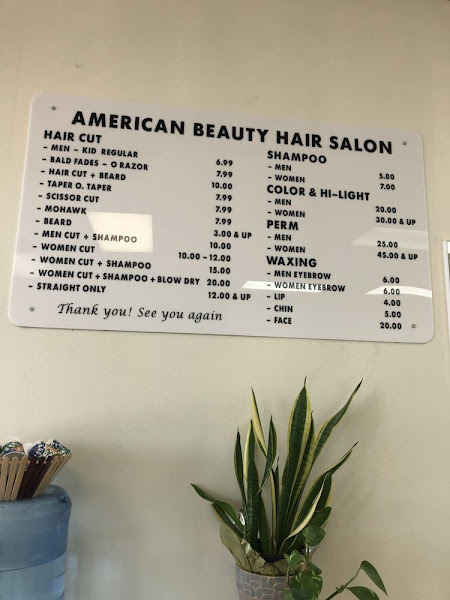 American Beauty Hair Salon 2