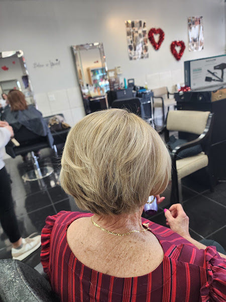 Diana’s Hair Design 3