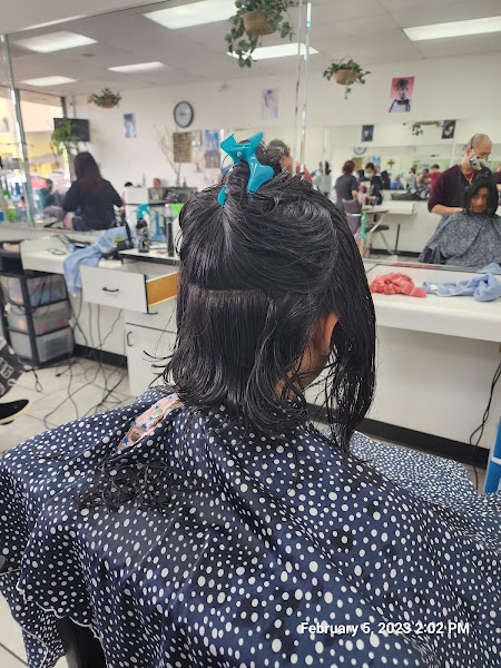 LT hair care 4