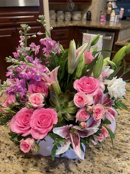 Spring Cypress Flowers 4