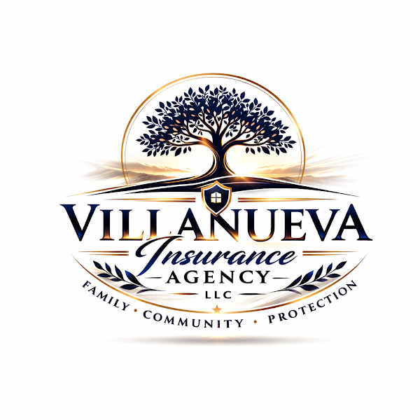 VILLANUEVA INSURANCE AGENCY LLC