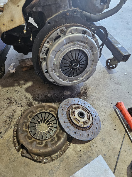 MS Mechanic