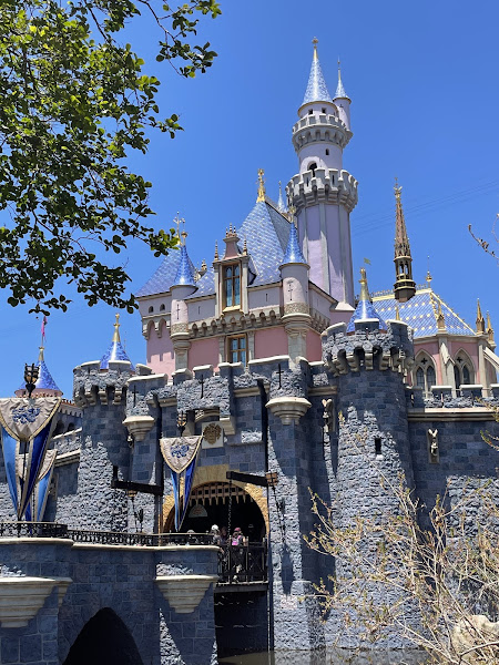 Enchanted Escapes Travel 3