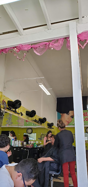Mena's Salon 2