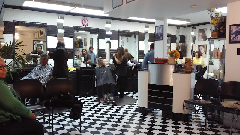 Diliana's Hair Salon 2