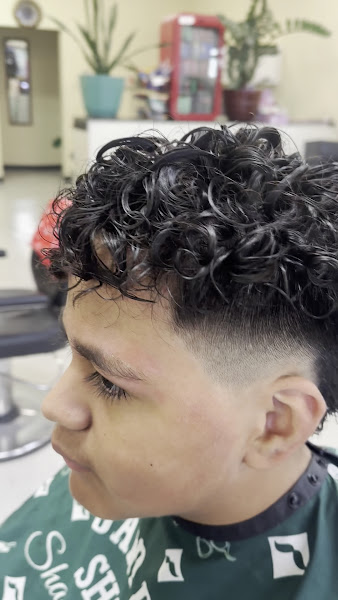 Le's Pro-Cut 3
