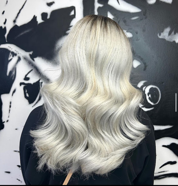 The Salon Elev8