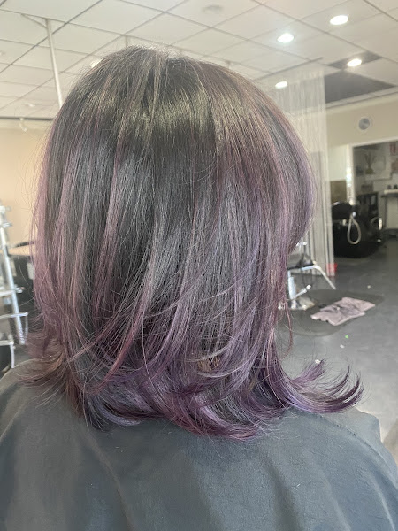 Salon Vivid 4