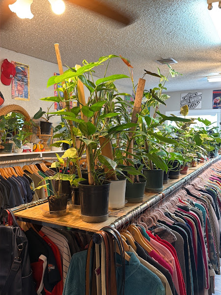 Plants & Vintage Clothing 4