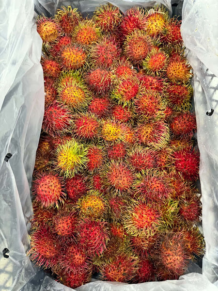 DUYEN HAI MARKET 4