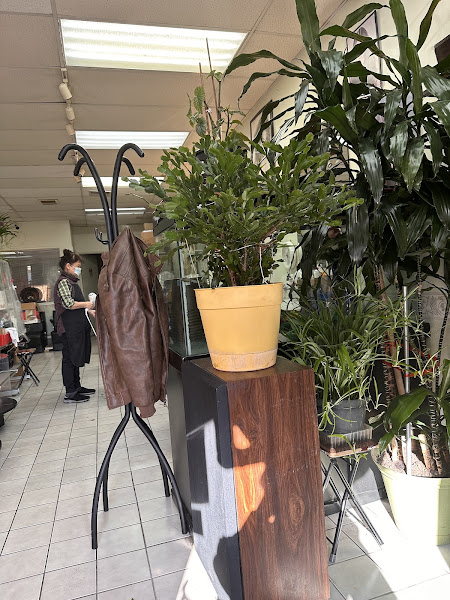 Lyn Hair Salon 5