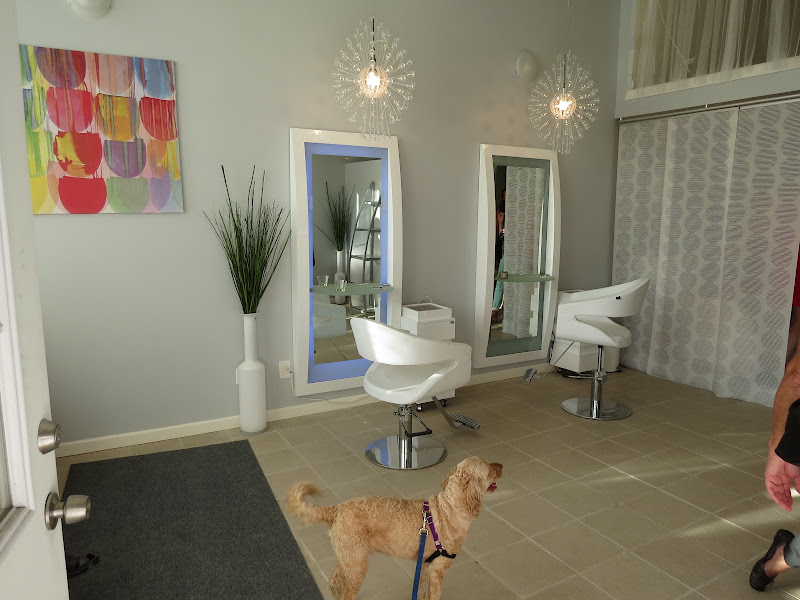 Noah Salon 3