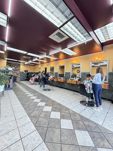 Seattle Hair Studio 4