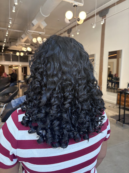 Sensa Salon 2