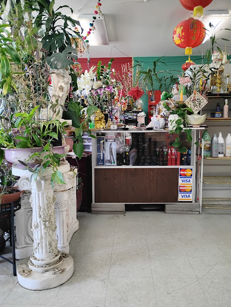 Fancy Hair Salon 2
