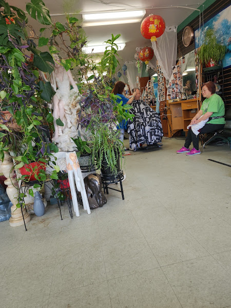 Fancy Hair Salon 3