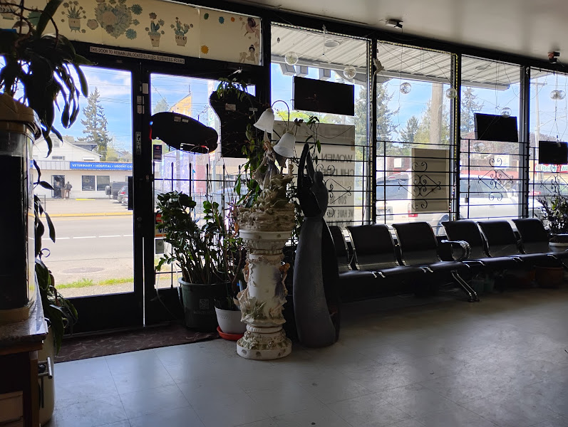 Fancy Hair Salon 4