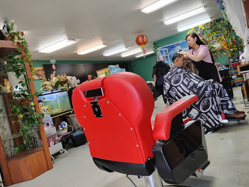 Fancy Hair Salon 5