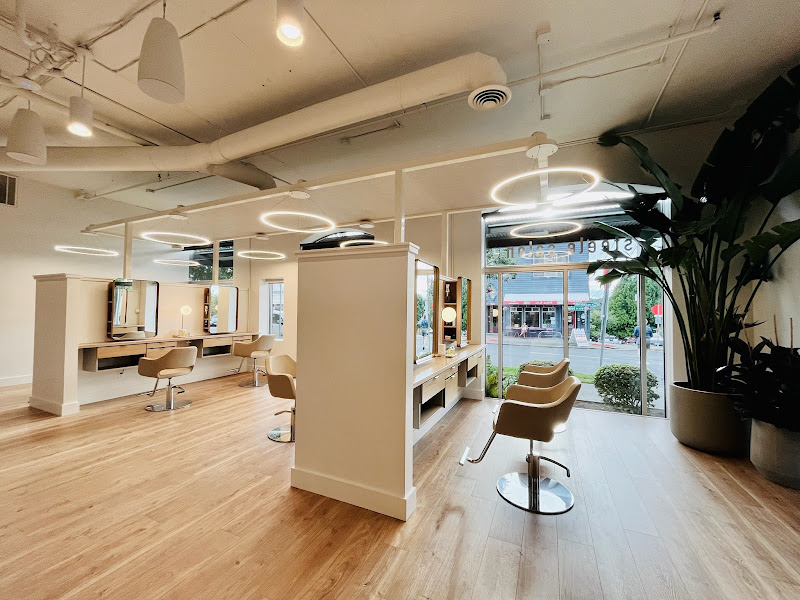 steele salon 1