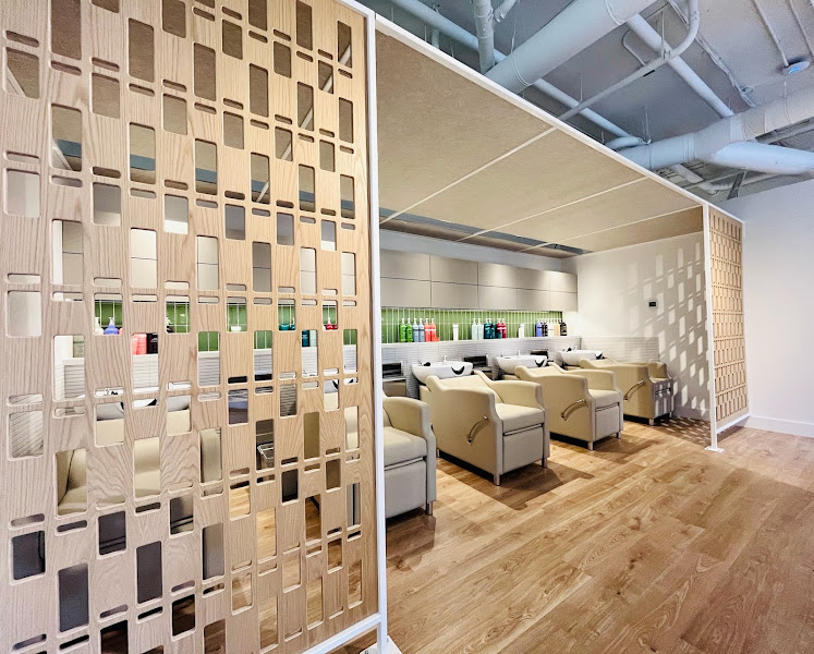 steele salon 4