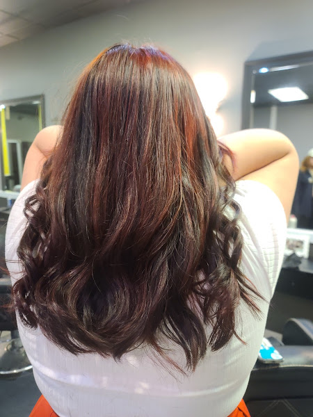 Lotte Hair Salon 2