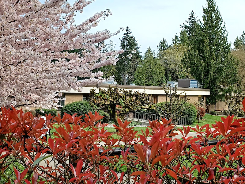 Kline Galland Campus at Seward Park 3