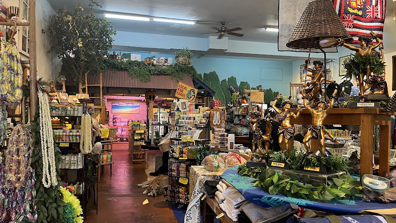 Hawaii General Store & HGS Travel 3