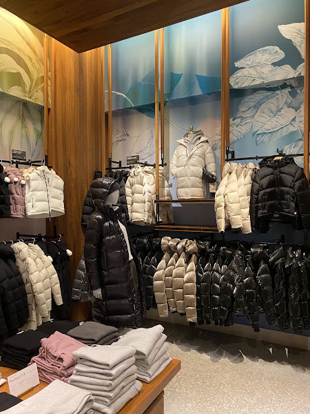 Aritzia 4