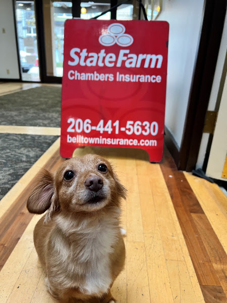 Youkie Chambers - State Farm Insurance Agent 4