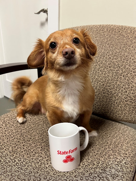 Youkie Chambers - State Farm Insurance Agent 5
