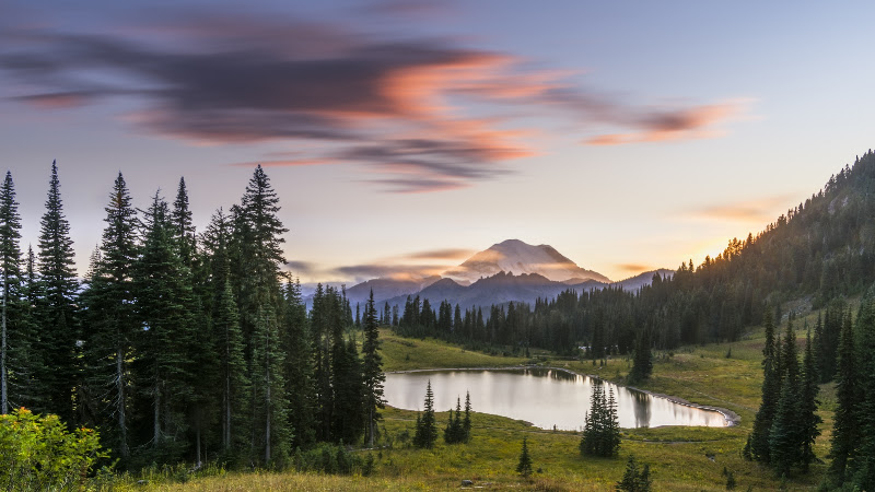 American West Insurance Agency