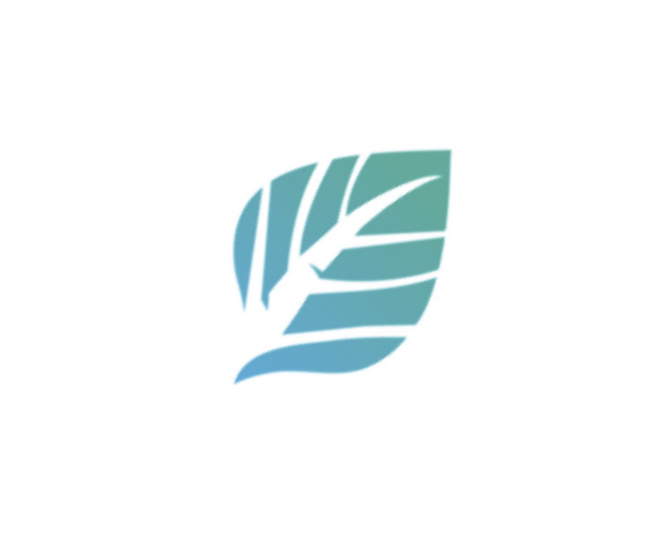 Southern Birch Mortgage - Seattle Mortgage Broker 3