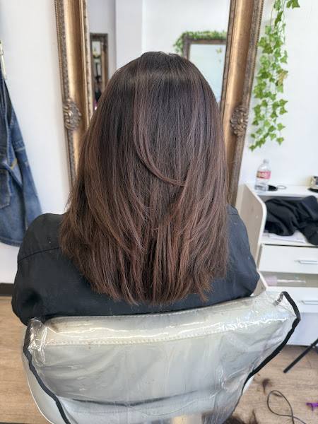 Anahi's Salon 2