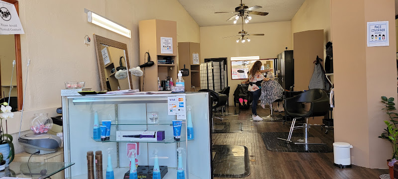 Studio 67 Hair & Color 1