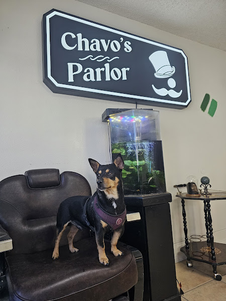 Chavo's Parlor 3