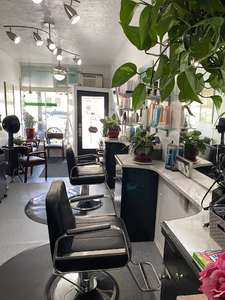 John Michaels Hair Studio 2