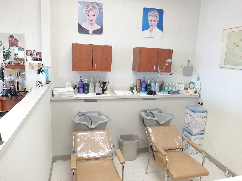 Sho Mays Hair Design 4