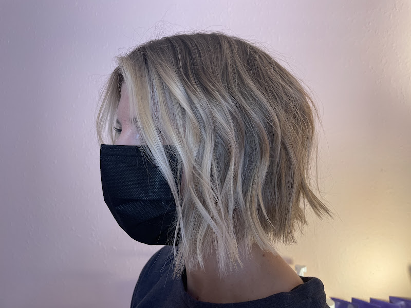 Daydream Salon 5