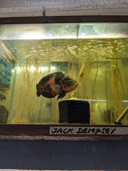 Asia Gift & Aquarium