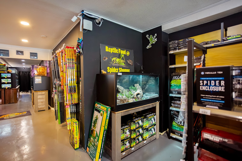 Spider Shoppe Exotic Pets & Supplies 4