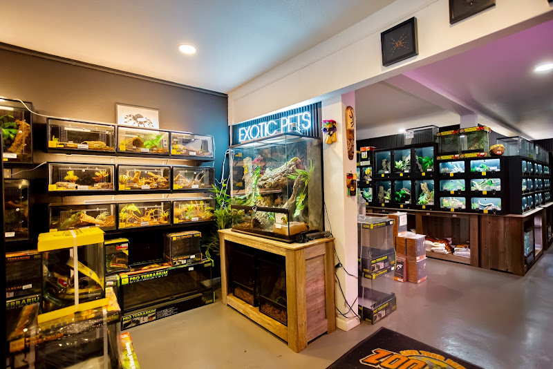 Spider Shoppe Exotic Pets & Supplies 5