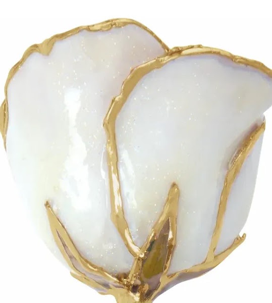 Jewelry Dr 4
