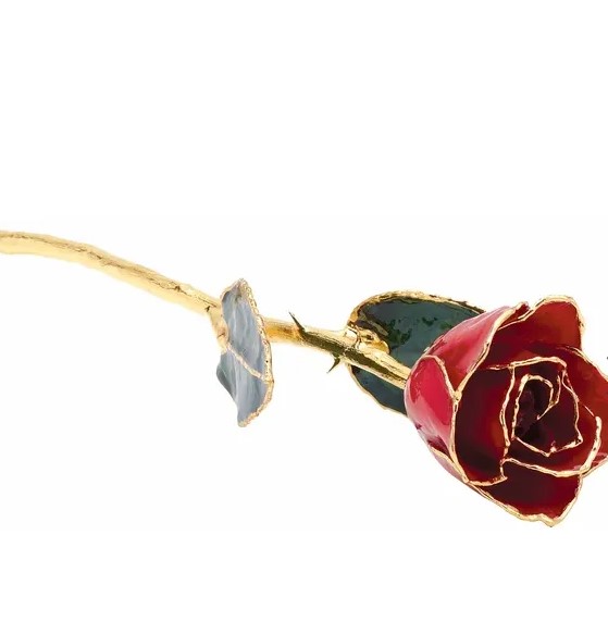 Jewelry Dr 5
