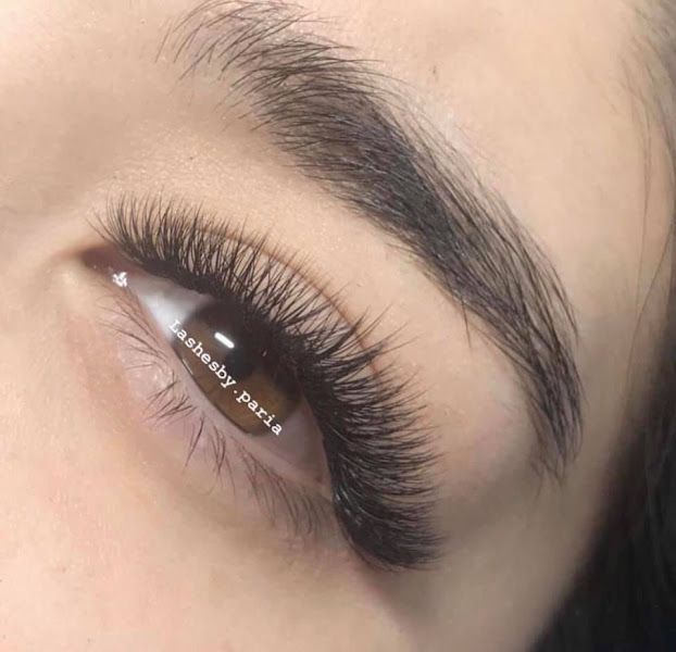 Lash Fash 3