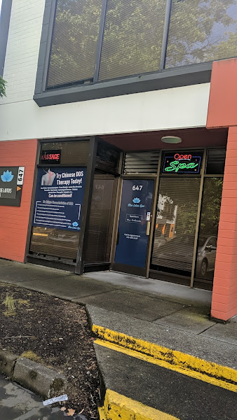 Blue Lotus Spa 4