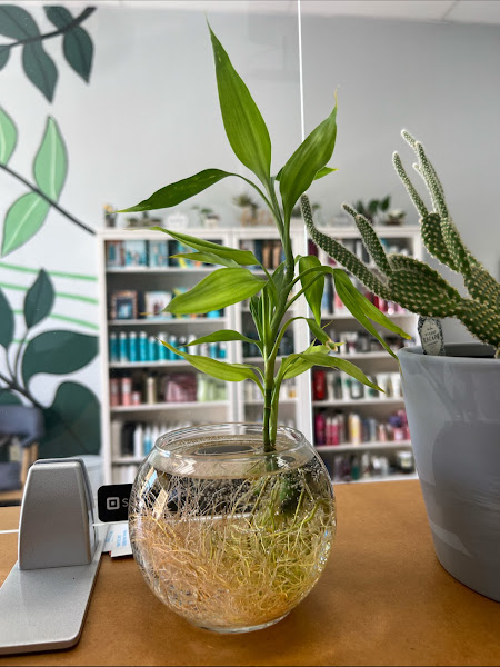 Meraki Hair Studio 2