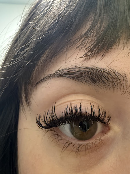 BLUSH. Lash Bar 2